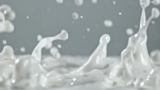 Σούπερ Αργή Κίνηση Φρέσκο Γάλα Υψηλής Ποιότητας Υλικό Fullhd — Αρχείο Βίντεο