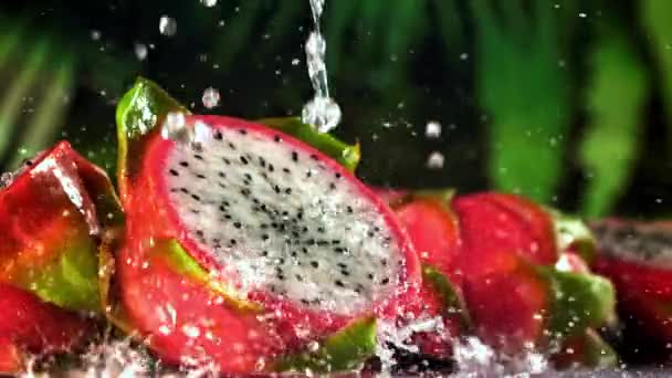 Fructul Dragonului Tropical Mișcare Foarte Lentă Înregistrare Fullhd Înaltă Calitate — Videoclip de stoc