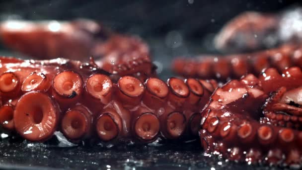 Super Slow Motion Gefrituurde Octopus Tentakels Hoge Kwaliteit Fullhd Beeldmateriaal — Stockvideo