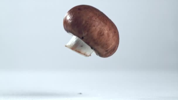 Super Slow Motion Mushrooms Falling High Quality Fullhd Footage — Stock Video