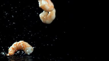 Süper yavaş çekim karidesleri. Yüksek kaliteli FullHD görüntüler