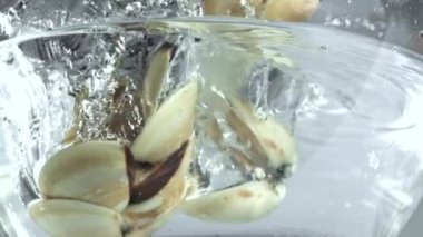 Süper yavaş çekimde taze vongole. Yüksek kaliteli FullHD görüntüler