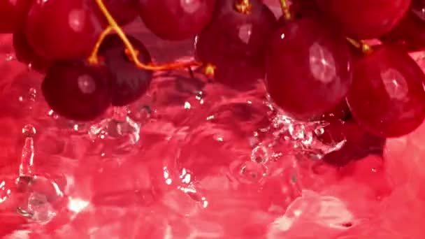 Super Slow Motion Verse Druiven Hoge Kwaliteit Fullhd Beeldmateriaal — Stockvideo