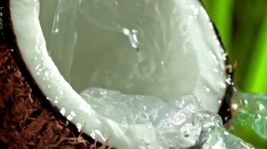 Su sıçramalı süper yavaş çekimde hindistan cevizi. Yüksek kaliteli FullHD görüntüler