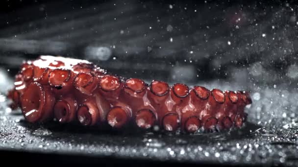 Super Zeitlupe Gebratene Oktopus Tentakel Hochwertiges Fullhd Filmmaterial — Stockvideo
