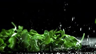 Daikon mikroçerezleri ıslak masaya düşer. 1000 fps 'de yüksek hızlı bir kamerayla çekildi. Yüksek kaliteli FullHD görüntüler