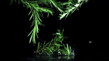 Rosemary masaya düşüyor. 1000 fps 'de yüksek hızlı bir kamerayla çekildi. Yüksek kaliteli FullHD görüntüler