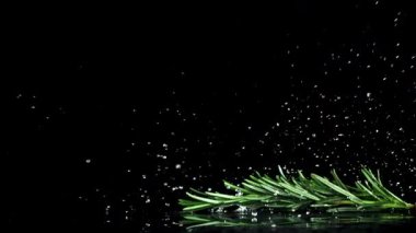 Rosemary masaya düşüyor. 1000 fps 'de yüksek hızlı bir kamerayla çekildi. Yüksek kaliteli FullHD görüntüler