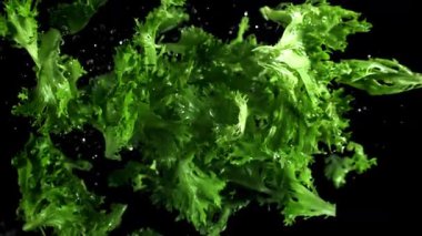 Marul yaprakları uçar ve düşer. 1000 fps 'de yüksek hızlı bir kamerayla çekildi. Yüksek kaliteli FullHD görüntüler