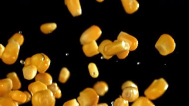 Konserve mısır uçar ve düşer. 1000 fps 'de yüksek hızlı bir kamerayla çekildi. Yüksek kaliteli FullHD görüntüler
