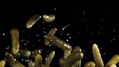 Salatalık turşusu uçar ve düşer. 1000 fps 'de yüksek hızlı bir kamerayla çekildi. Yüksek kaliteli FullHD görüntüler