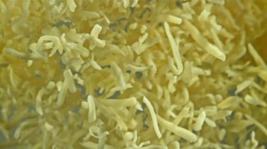 Rendelenmiş peynir yukarı aşağı uçar. 1000 fps 'de yüksek hızlı bir kamerayla çekildi. Yüksek kaliteli FullHD görüntüler