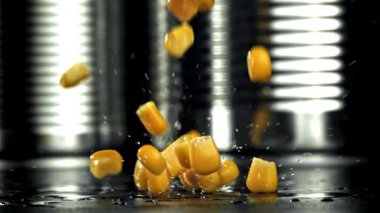Konserve mısır ıslak masaya düşer. 1000 fps 'de yüksek hızlı bir kamerayla çekildi. Yüksek kaliteli FullHD görüntüler