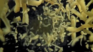 Rendelenmiş peynir düşer. 1000 fps 'de yüksek hızlı bir kamerayla çekildi. Yüksek kaliteli FullHD görüntüler