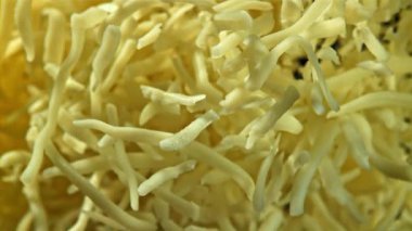Rendelenmiş peynir yukarı aşağı uçar. 1000 fps 'de yüksek hızlı bir kamerayla çekildi. Yüksek kaliteli FullHD görüntüler