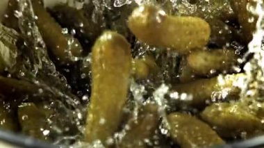 Salatalık turşusu salamura suya düşer. 1000 fps 'de yüksek hızlı bir kamerayla çekildi. Yüksek kaliteli FullHD görüntüler
