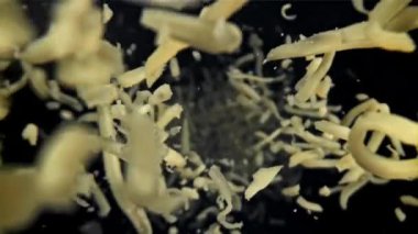 Rendelenmiş peynir düşer. 1000 fps 'de yüksek hızlı bir kamerayla çekildi. Yüksek kaliteli FullHD görüntüler