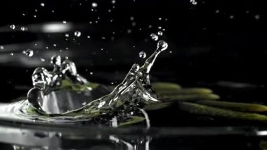 Salatalık turşusu salamura suya düşer. 1000 fps 'de yüksek hızlı bir kamerayla çekildi. Yüksek kaliteli FullHD görüntüler