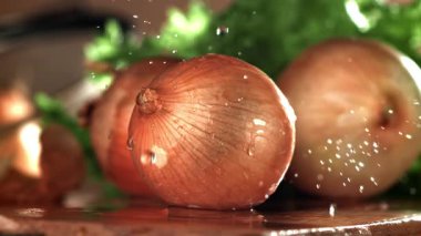 Su damlaları taze soğanların üzerine düşer. 1000 fps 'de yüksek hızlı bir kamerayla çekildi. Yüksek kaliteli FullHD görüntüler
