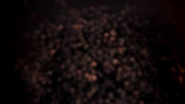 Kara biber yukarı uçar ve aşağı düşer. 1000 fps 'de yüksek hızlı bir kamerayla çekildi. Yüksek kaliteli FullHD görüntüler