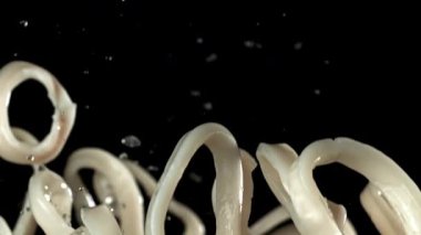 Kalamar halkaları yukarı aşağı uçar. 1000 fps 'de yüksek hızlı bir kamerayla çekildi. Yüksek kaliteli FullHD görüntüler