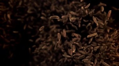 Kimyon bir aşağı bir yukarı uçuyor. 1000 fps 'de yüksek hızlı bir kamerayla çekildi. Yüksek kaliteli FullHD görüntüler