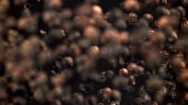 Kara biber yukarı uçar ve aşağı düşer. 1000 fps 'de yüksek hızlı bir kamerayla çekildi. Yüksek kaliteli FullHD görüntüler