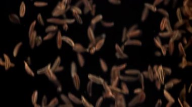 Kimyon tohumları düşer. 1000 fps 'de yüksek hızlı bir kamerayla çekildi. Yüksek kaliteli FullHD görüntüler