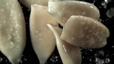 Kalamar yukarı uçar ve düşer. 1000 fps 'de yüksek hızlı bir kamerayla çekildi. Yüksek kaliteli FullHD görüntüler