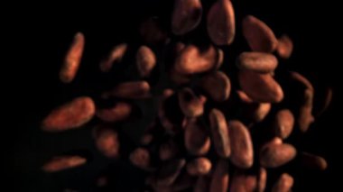 Kakao çekirdekleri uçar ve düşer. 1000 fps 'de yüksek hızlı bir kamerayla çekildi. Yüksek kaliteli FullHD görüntüler
