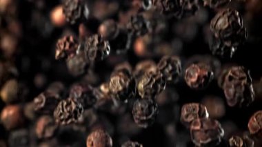 Kara biber yukarı uçar ve aşağı düşer. 1000 fps 'de yüksek hızlı bir kamerayla çekildi. Yüksek kaliteli FullHD görüntüler