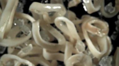 Kalamar halkaları yukarı aşağı uçar. 1000 fps 'de yüksek hızlı bir kamerayla çekildi. Yüksek kaliteli FullHD görüntüler