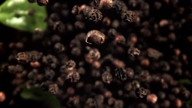 Kara biber yukarı uçar ve aşağı düşer. 1000 fps 'de yüksek hızlı bir kamerayla çekildi. Yüksek kaliteli FullHD görüntüler