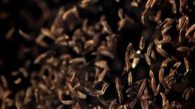 Kimyon bir aşağı bir yukarı uçuyor. 1000 fps 'de yüksek hızlı bir kamerayla çekildi. Yüksek kaliteli FullHD görüntüler