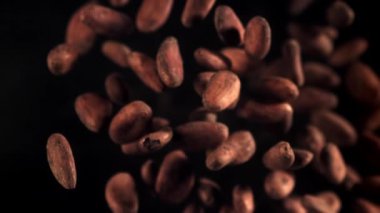 Kakao çekirdekleri uçar ve düşer. 1000 fps 'de yüksek hızlı bir kamerayla çekildi. Yüksek kaliteli FullHD görüntüler