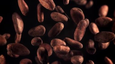 Kakao çekirdekleri uçar ve düşer. 1000 fps 'de yüksek hızlı bir kamerayla çekildi. Yüksek kaliteli FullHD görüntüler