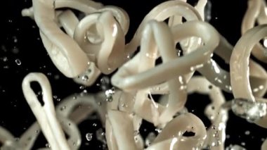 Kalamar halkaları yukarı aşağı uçar. 1000 fps 'de yüksek hızlı bir kamerayla çekildi. Yüksek kaliteli FullHD görüntüler