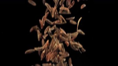 Kimyon tohumları düşer. 1000 fps 'de yüksek hızlı bir kamerayla çekildi. Yüksek kaliteli FullHD görüntüler