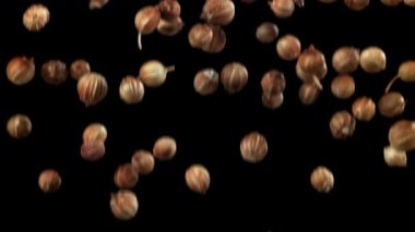 Kişniş taneleri uçup gidiyor. 1000 fps 'de yüksek hızlı bir kamerayla çekildi. Yüksek kaliteli FullHD görüntüler