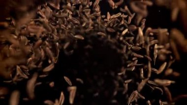 Kimyon tohumları düşer. 1000 fps 'de yüksek hızlı bir kamerayla çekildi. Yüksek kaliteli FullHD görüntüler