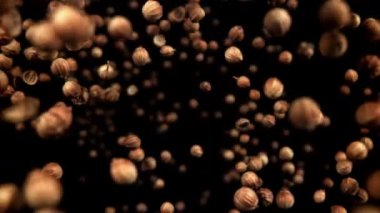 Kişniş taneleri uçup gidiyor. 1000 fps 'de yüksek hızlı bir kamerayla çekildi. Yüksek kaliteli FullHD görüntüler