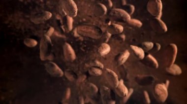 Kakao çekirdekleri uçar ve düşer. 1000 fps 'de yüksek hızlı bir kamerayla çekildi. Yüksek kaliteli FullHD görüntüler