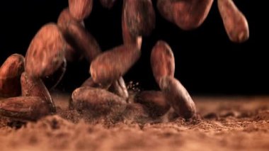 Kakao çekirdekleri masaya düşer. 1000 fps 'de yüksek hızlı bir kamerayla çekildi. Yüksek kaliteli FullHD görüntüler