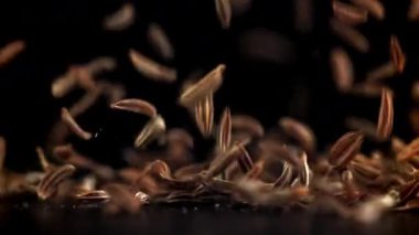 Kimyon tohumları masaya düşer. 1000 fps 'de yüksek hızlı bir kamerayla çekildi. Yüksek kaliteli FullHD görüntüler