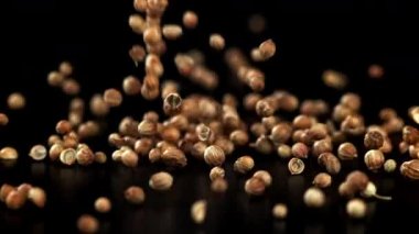 Kişniş masaya düşer. 1000 fps 'de yüksek hızlı bir kamerayla çekildi. Yüksek kaliteli FullHD görüntüler