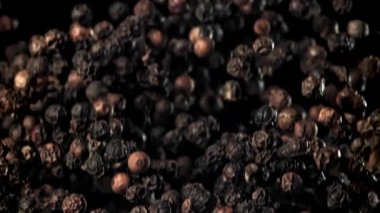 Kara biber yukarı uçar ve aşağı düşer. 1000 fps 'de yüksek hızlı bir kamerayla çekildi. Yüksek kaliteli FullHD görüntüler