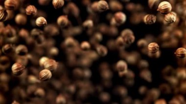 Kişniş taneleri uçar ve düşer. 1000 fps 'de yüksek hızlı bir kamerayla çekildi. Yüksek kaliteli FullHD görüntüler