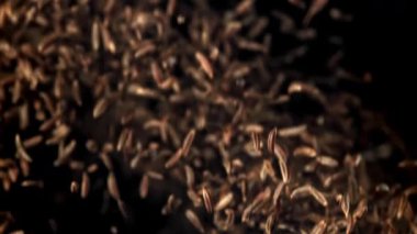 Kimyon bir aşağı bir yukarı uçuyor. 1000 fps 'de yüksek hızlı bir kamerayla çekildi. Yüksek kaliteli FullHD görüntüler