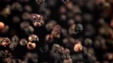 Kara biber yukarı uçar ve aşağı düşer. 1000 fps 'de yüksek hızlı bir kamerayla çekildi. Yüksek kaliteli FullHD görüntüler