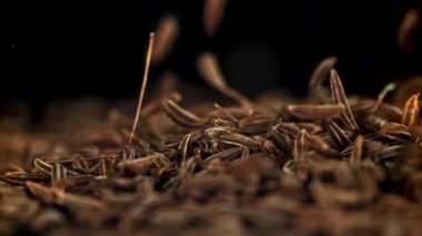 Kimyon tohumları masaya düşer. 1000 fps 'de yüksek hızlı bir kamerayla çekildi. Yüksek kaliteli FullHD görüntüler